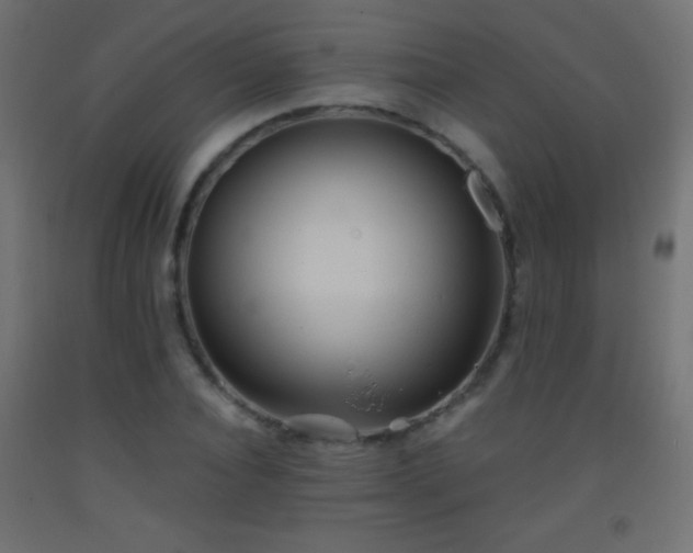 X0000093380928200710111452