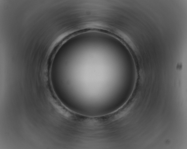 X0000093380931200710111452