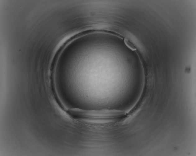 X0000093380932200710111452