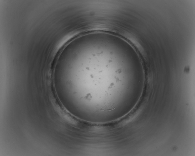 X0000093380933200710111452