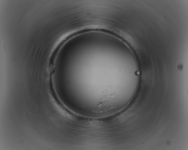 X0000093380934200710111452