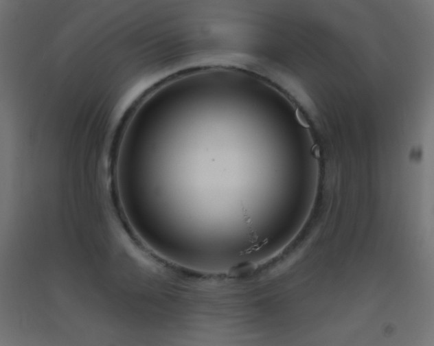 X0000093380936200710111452