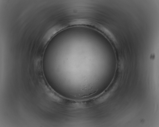 X0000093380937200710111452