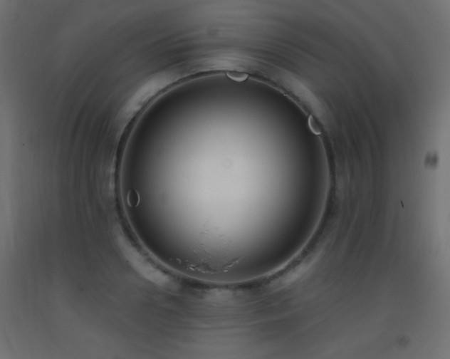 X0000093380938200710111452
