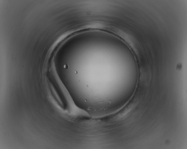 X0000093380939200710111452