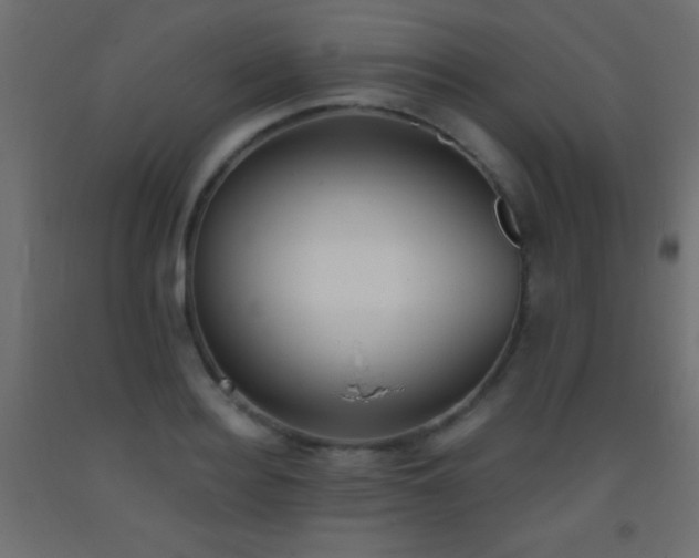 X0000093380940200710111452