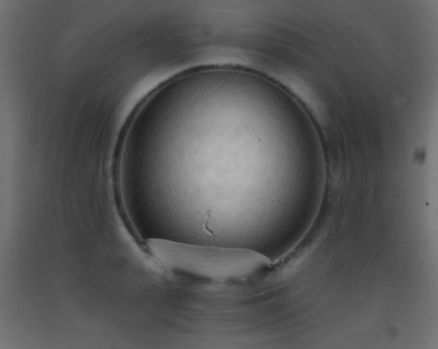 X0000093380943200710111452