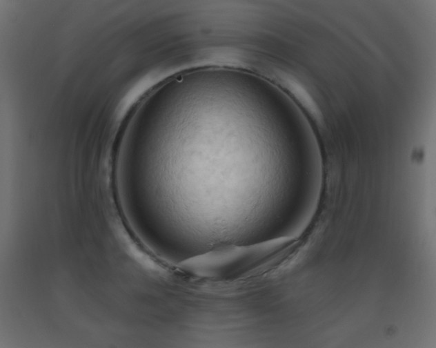 X0000093380944200710111452
