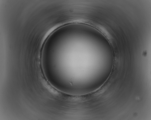 X0000093380948200710111452