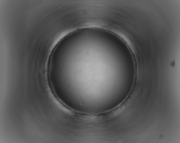 X0000093380949200710111452