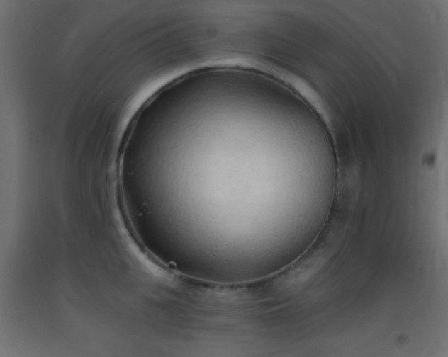 X0000093380951200710111452