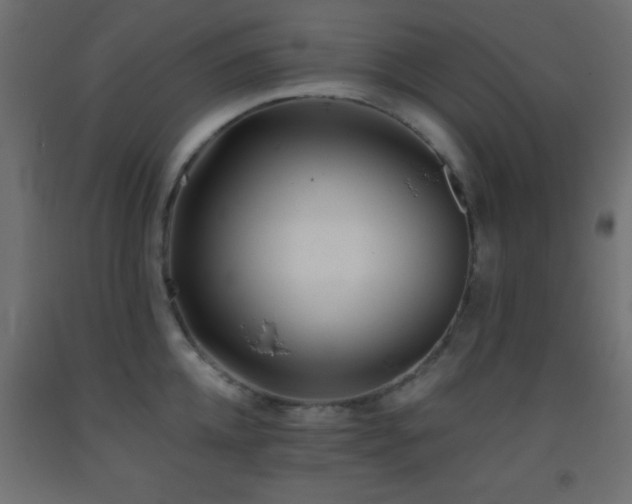 X0000093380952200710111452