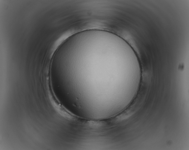 X0000093380954200710111452