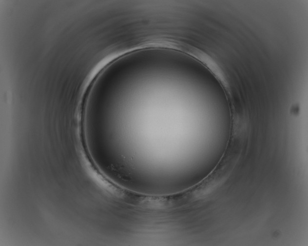X0000093380955200710111452