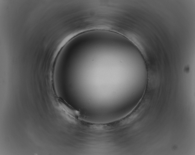 X0000093380956200710111452