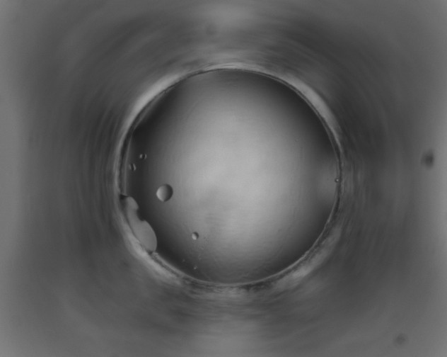 X0000093380957200710111453