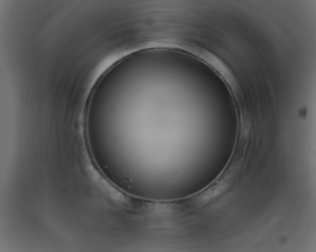 X0000093380958200710111453