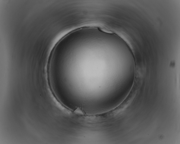 X0000093380959200710111453