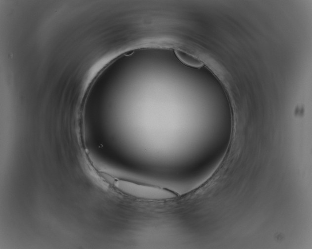 X0000093380960200710111453