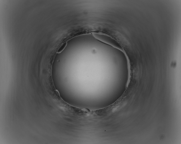 X0000093380961200710111452