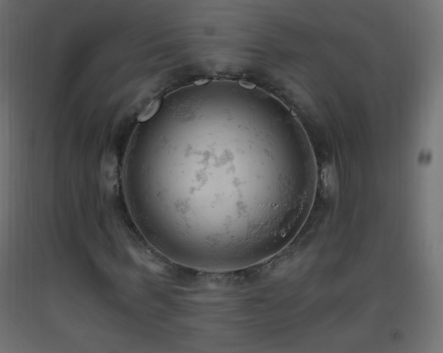 X0000093380963200710111452