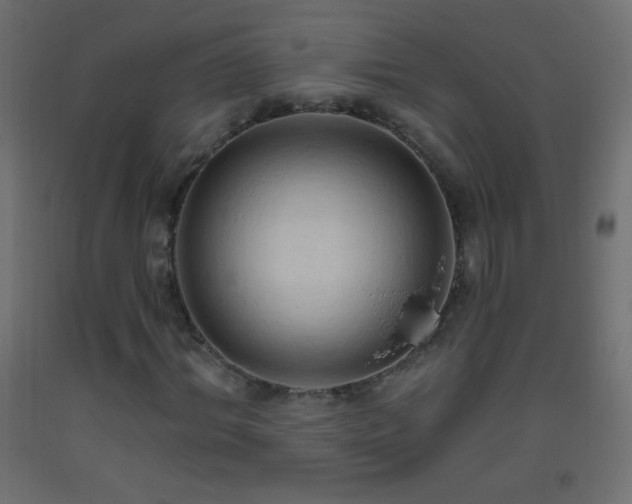 X0000093380964200710111452