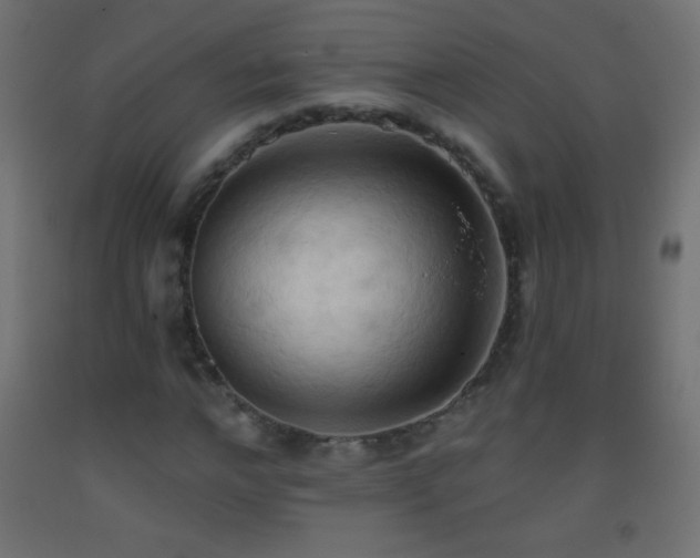 X0000093380968200710111452