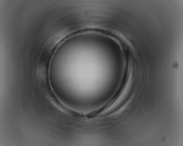 X0000093380969200710111452