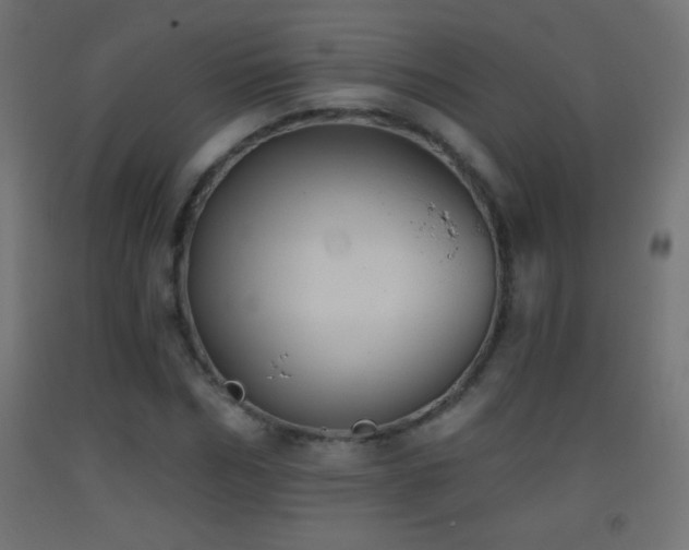 X0000093380970200710111452