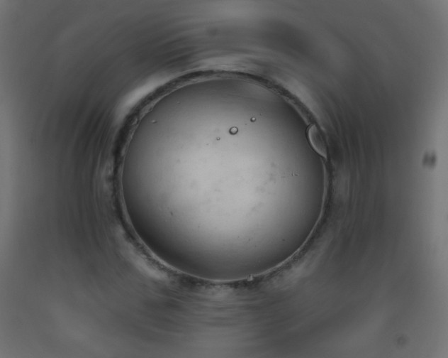 X0000093380971200710111452