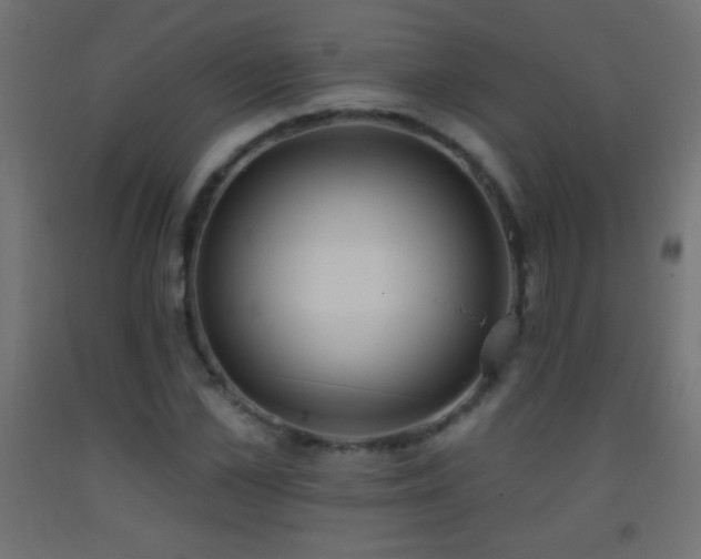 X0000093380973200710111452