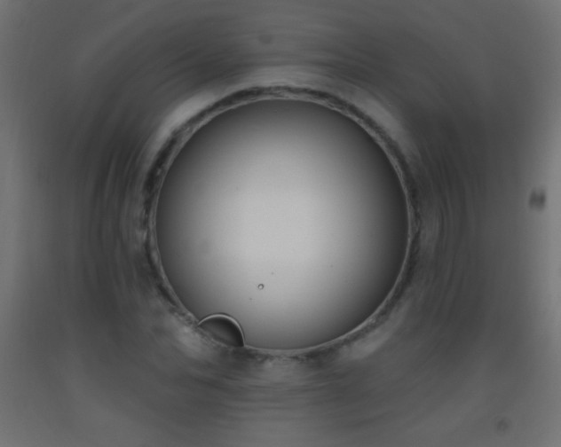 X0000093380974200710111452