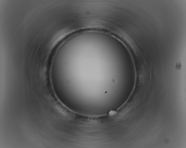 X0000093380975200710111452