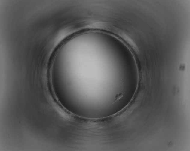 X0000093380976200710111452