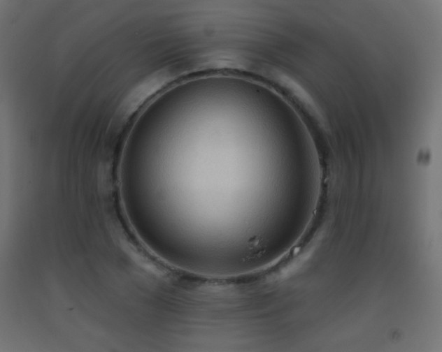 X0000093380977200710111452