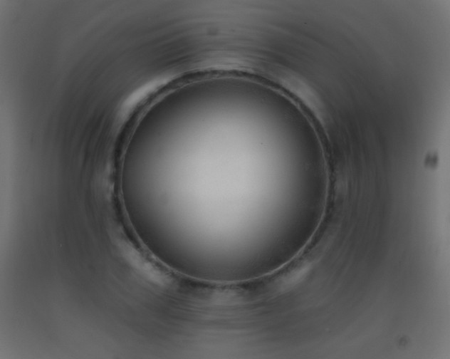 X0000093380979200710111452