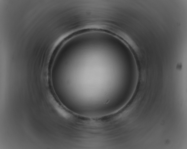 X0000093380980200710111452