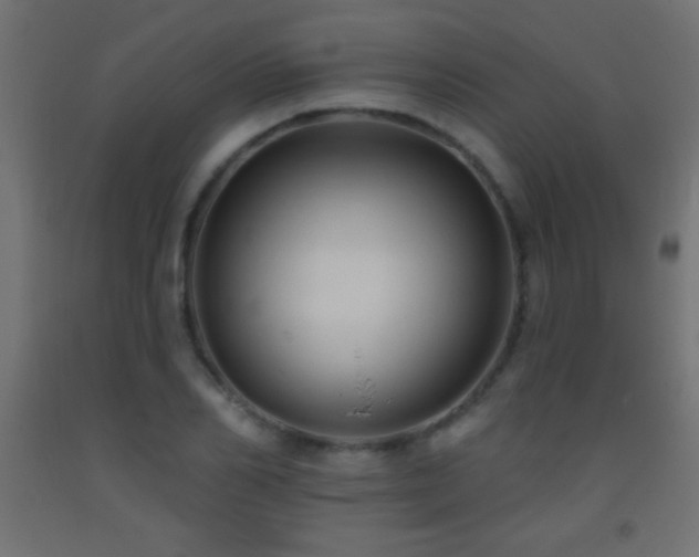 X0000093380982200710111452