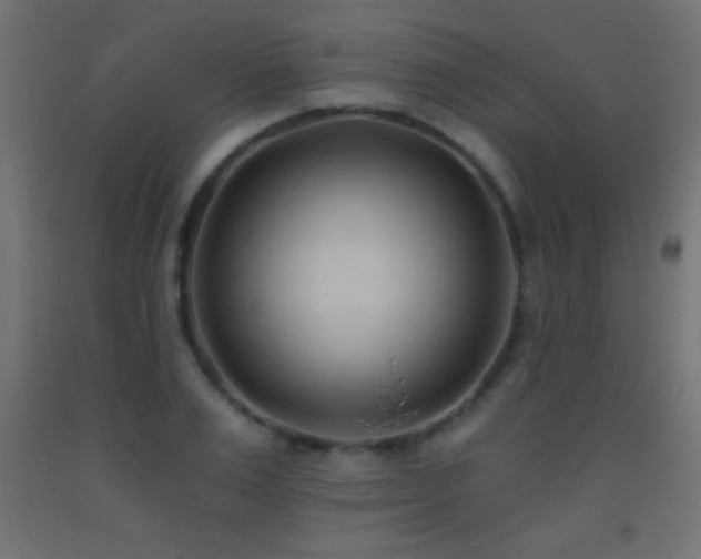 X0000093380983200710111452
