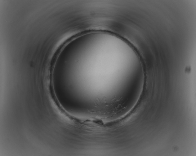X0000093380984200710111452