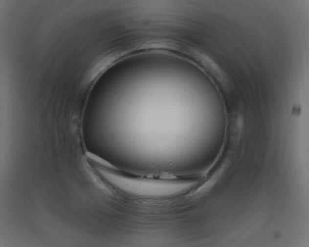 X0000093380985200710111452