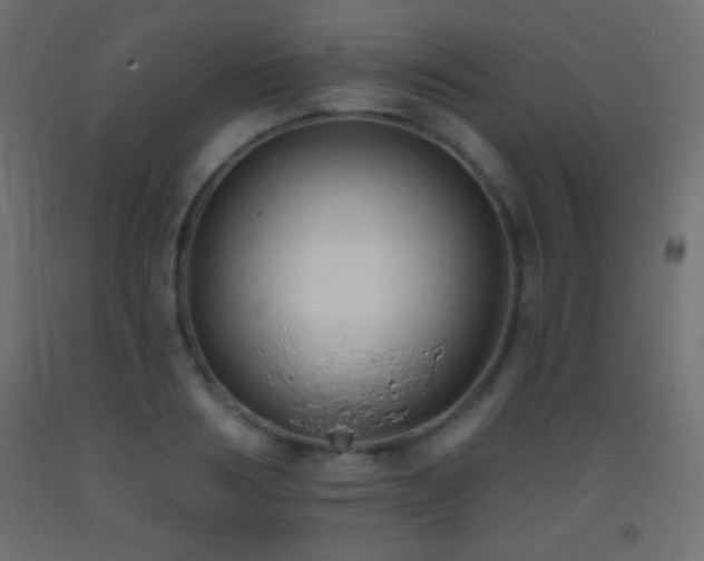 X0000093380986200710111452