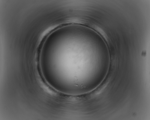 X0000093380987200710111452