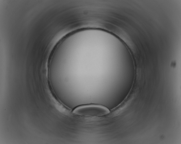 X0000093380988200710111452