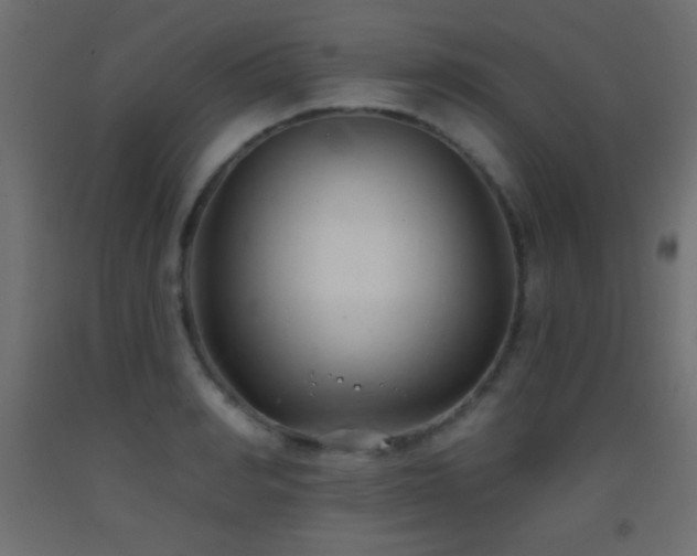 X0000093380990200710111451