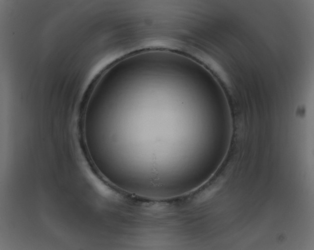 X0000093380991200710111451