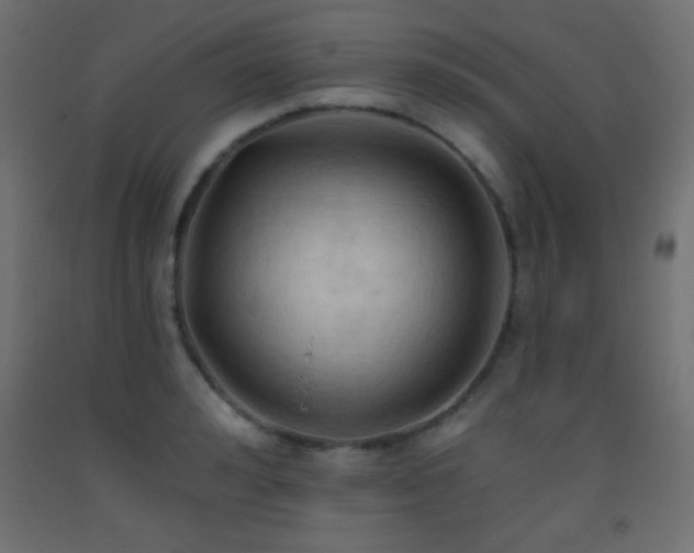 X0000093380992200710111451