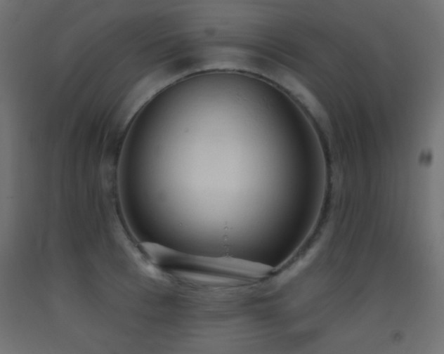 X0000093380993200710111451