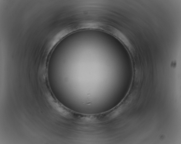 X0000093380994200710111451