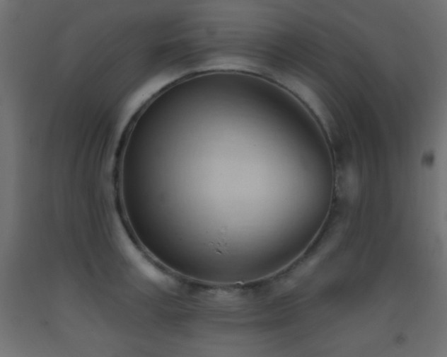 X0000093380995200710111451